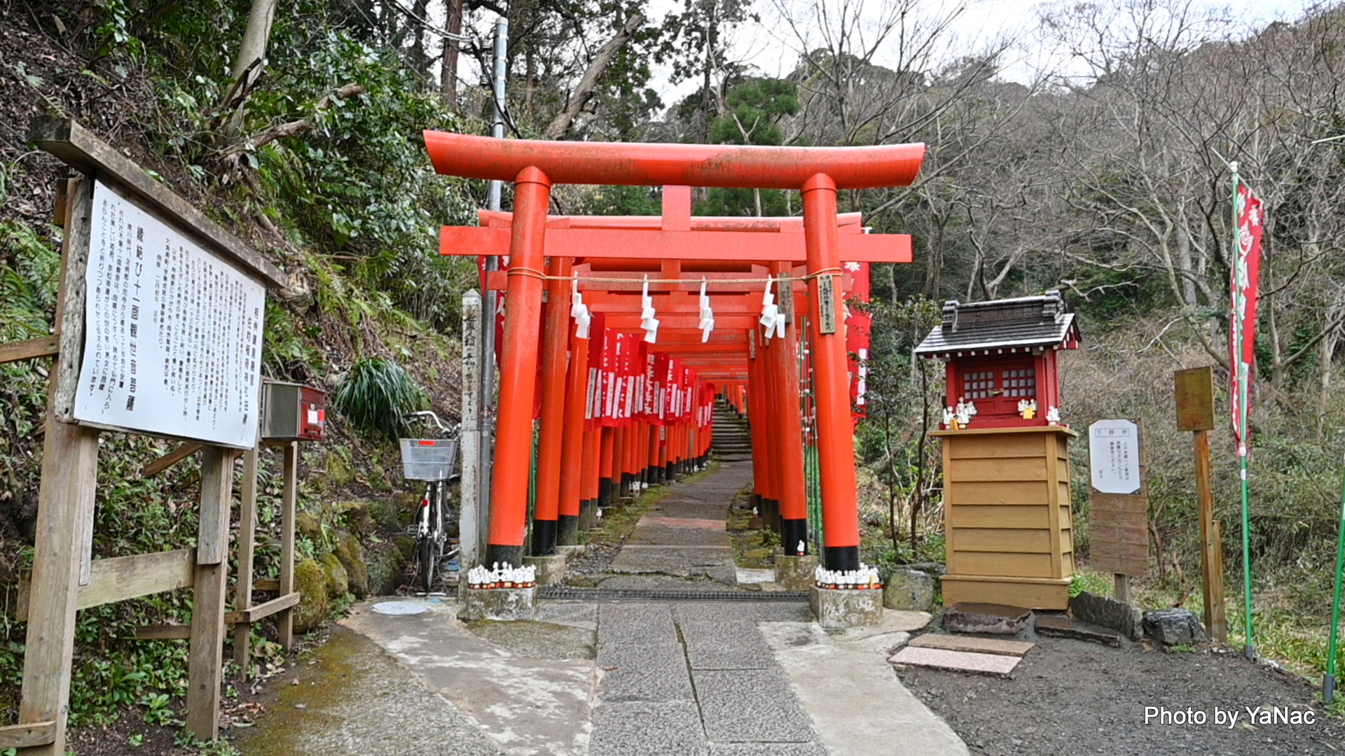 20220318 撮影：Z6 II「佐助稲荷神社」