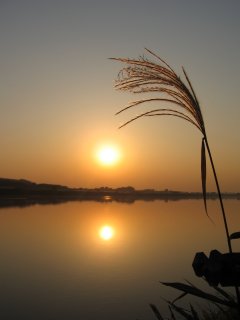 20071124_[Ă