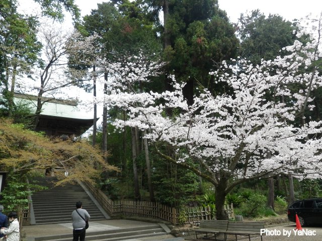 円覚寺