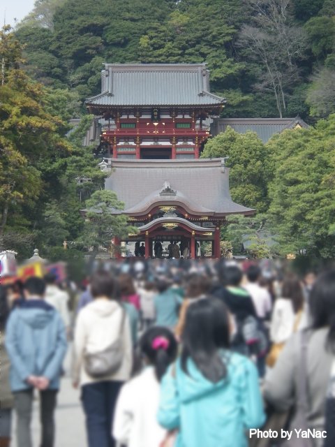 鶴岡八幡宮