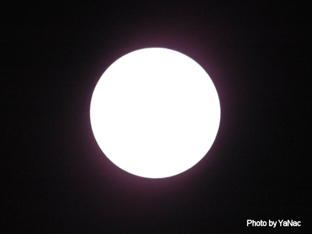 20120610 撮影：D70s「太陽(1)」