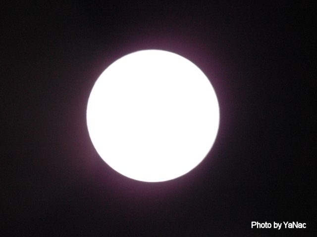 20120610 撮影：D70s「太陽(2)」