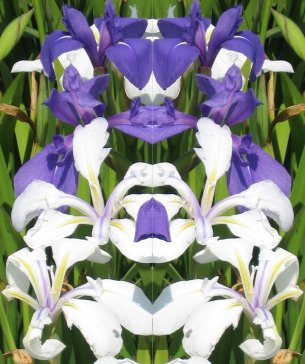 John Symmetry